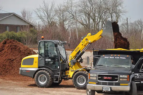 Wheel Loader WL60